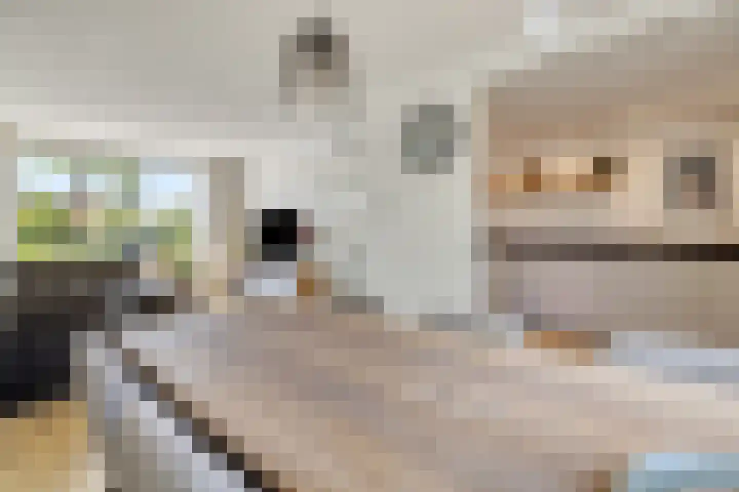 Kromwijkerkade 35 Woerden thumbnail 12