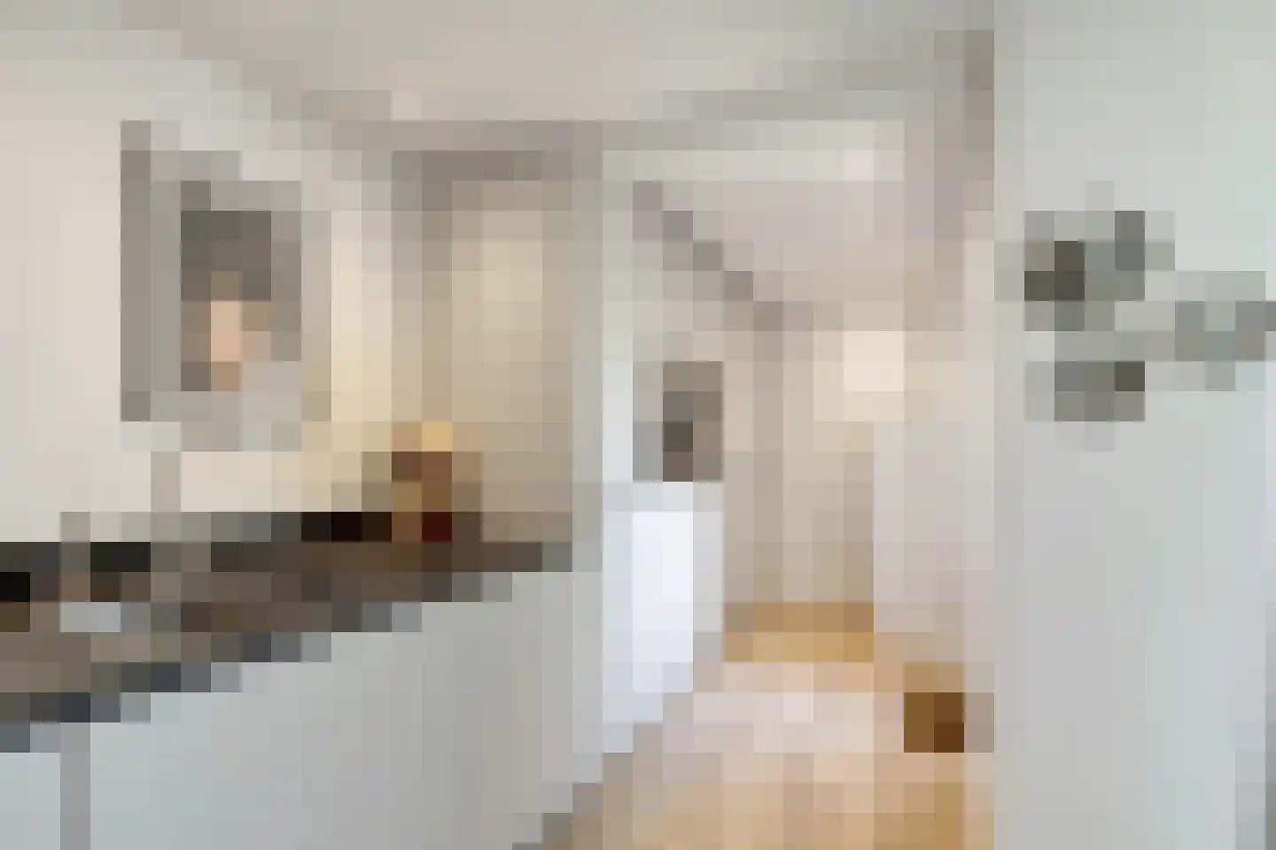 Kromwijkerkade 35 Woerden thumbnail 13