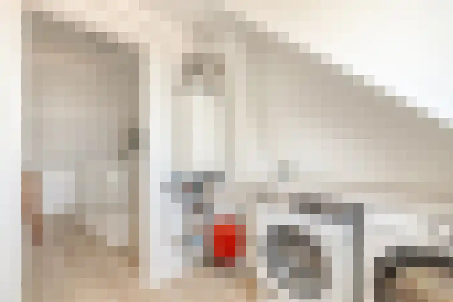 Kromwijkerkade 35 Woerden thumbnail 31