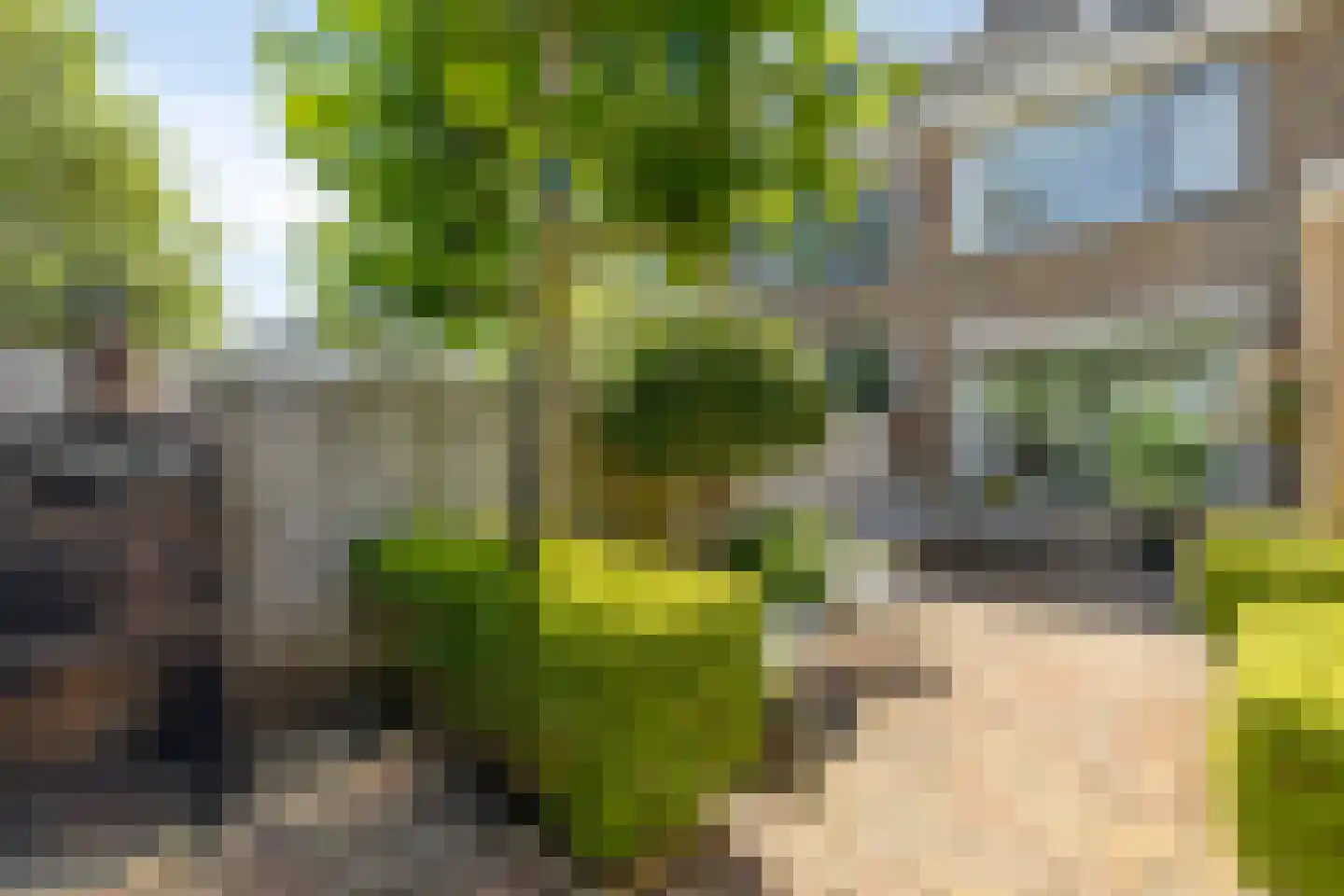 Kromwijkerkade 35 Woerden thumbnail 33