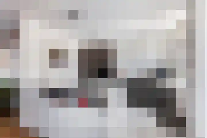 Kromwijkerkade 57 Woerden thumbnail 12