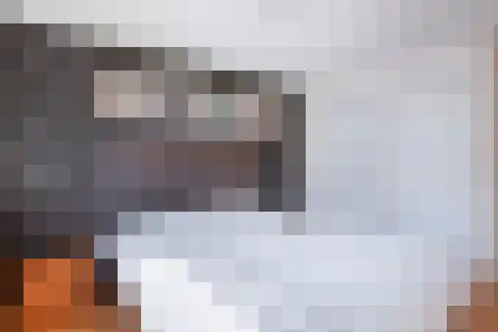 Kromwijkerkade 57 Woerden thumbnail 26