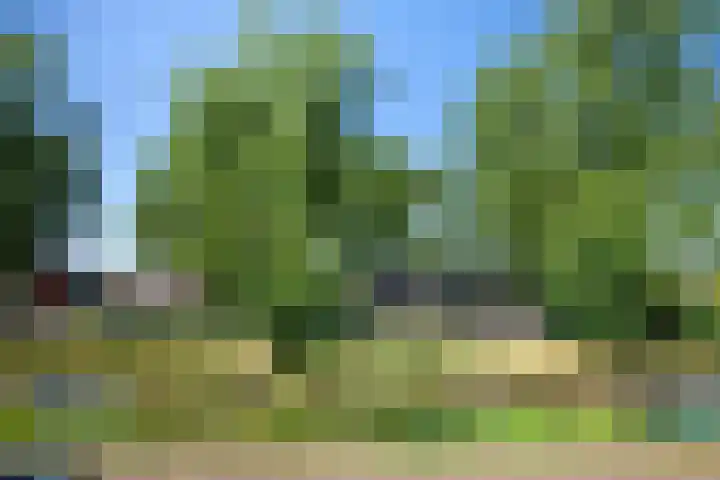 Kromwijkerkade 57 Woerden thumbnail 28