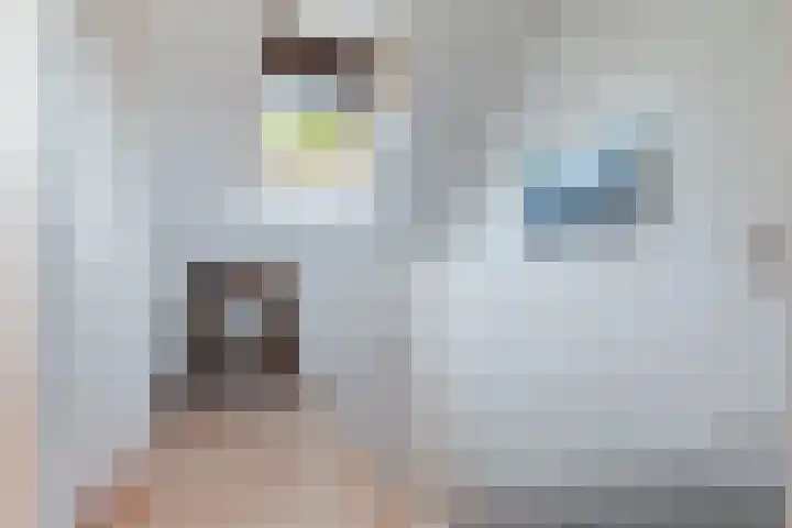 Kromwijkerkade 57 Woerden thumbnail 31