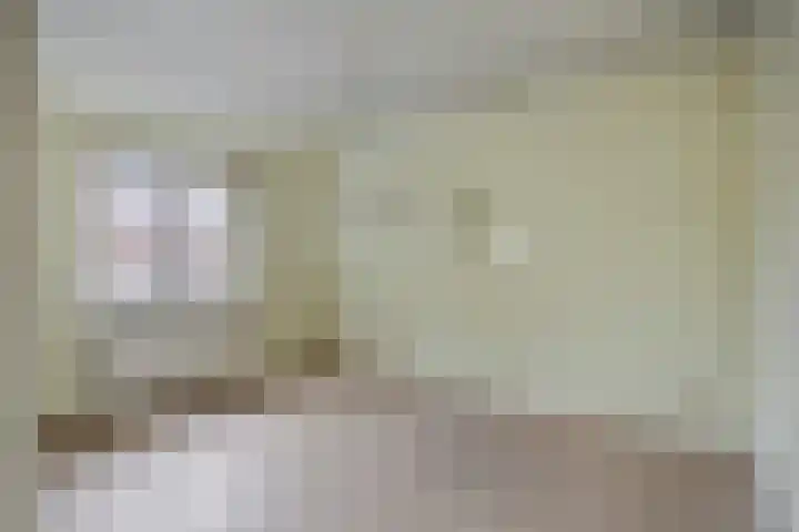 Kronehoefstraat 33 Eindhoven thumbnail 17