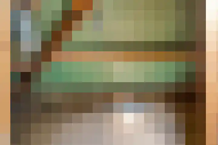 Kronehoefstraat 33 Eindhoven thumbnail 24