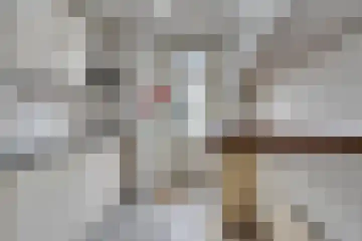 Kronehoefstraat 36 A Eindhoven thumbnail 21