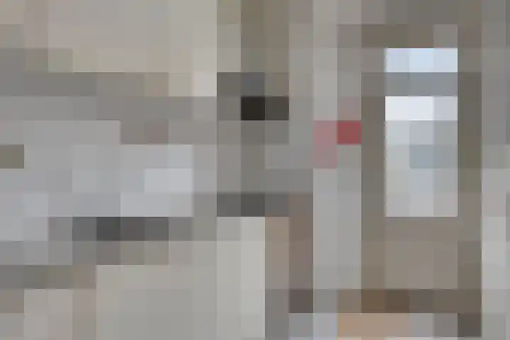 Kronehoefstraat 36 A Eindhoven thumbnail 22