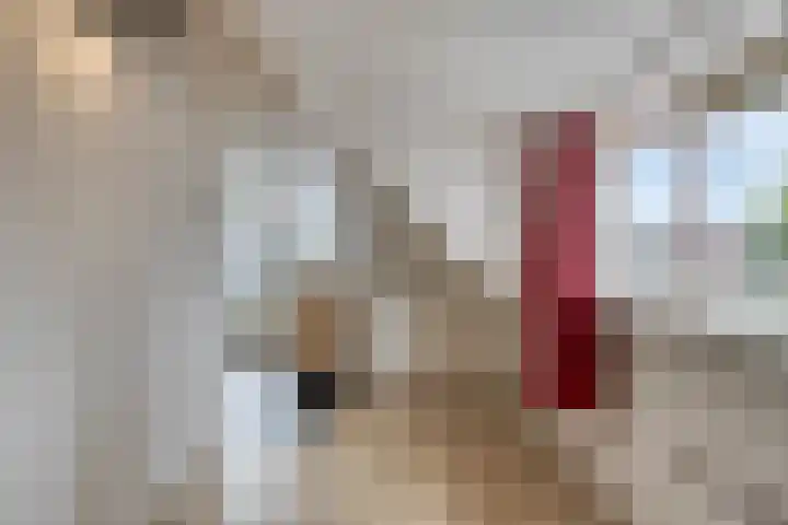 Kronehoefstraat 36 A Eindhoven thumbnail 28