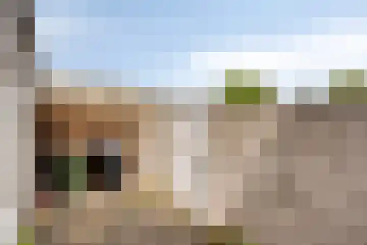 Kronehoefstraat 36 A Eindhoven thumbnail 37