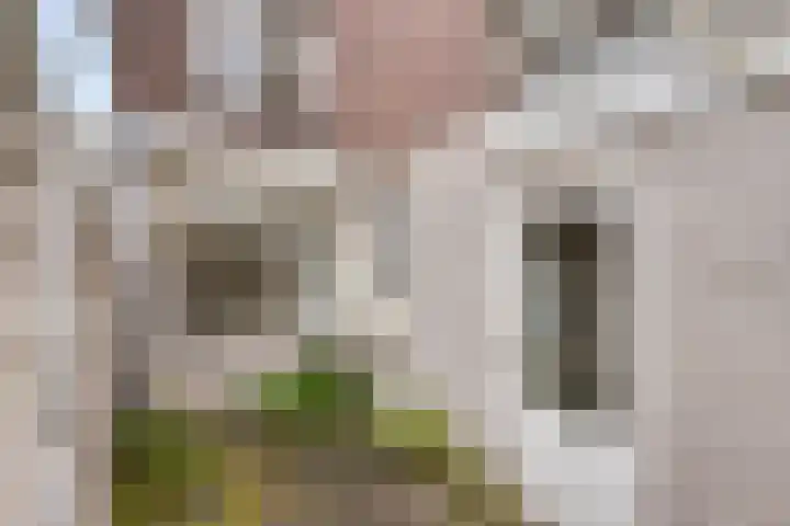 Kronehoefstraat 36 A Eindhoven thumbnail 38