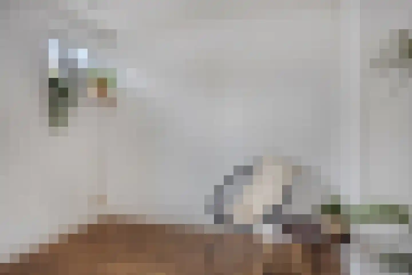 Kronehoefstraat 44 A Eindhoven thumbnail 11