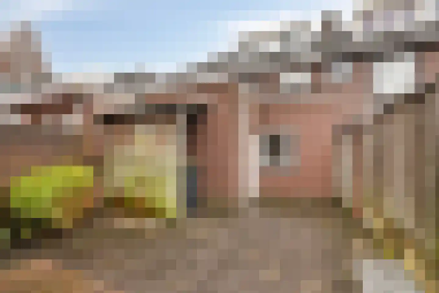 Kronehoefstraat 44 Eindhoven thumbnail 19
