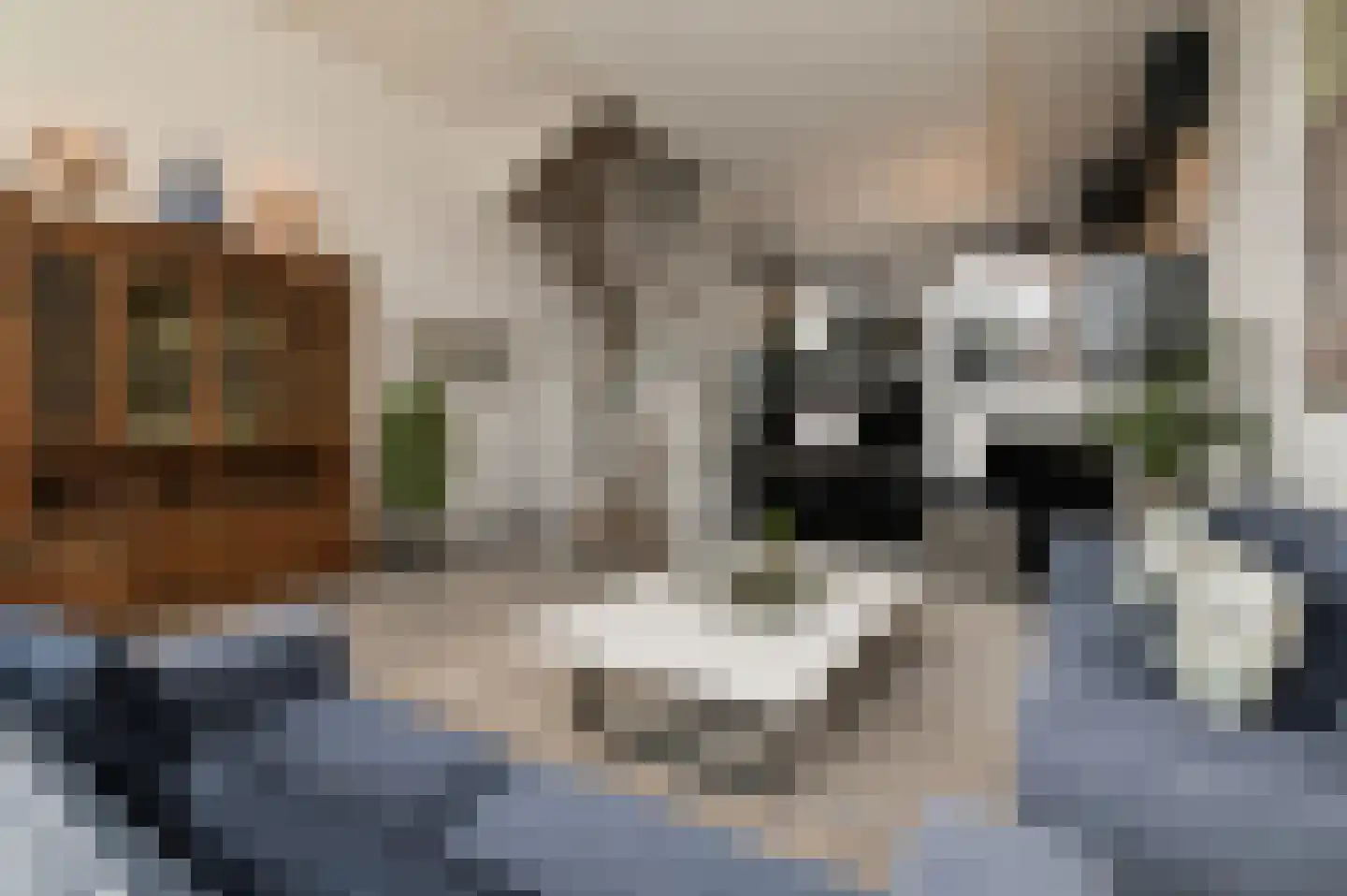 Kronenburg 38 Oegstgeest thumbnail 15