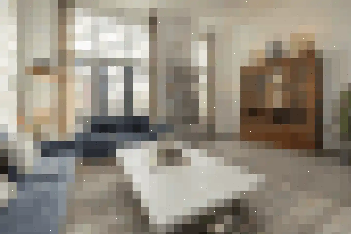Kronenburg 38 Oegstgeest thumbnail 17