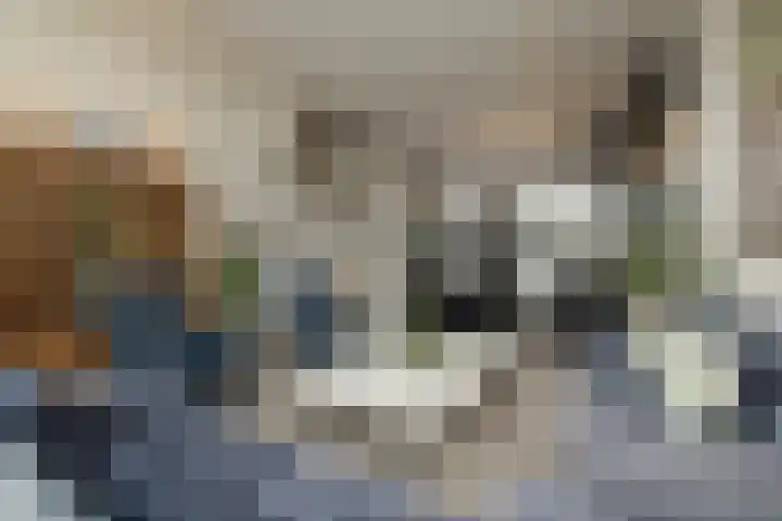 Kronenburg 38 Oegstgeest foto 3
