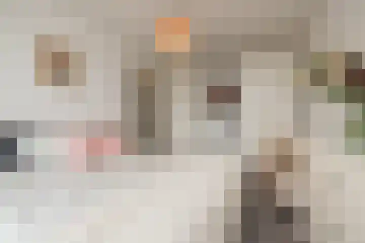 Kronenburg 38 Oegstgeest thumbnail 4