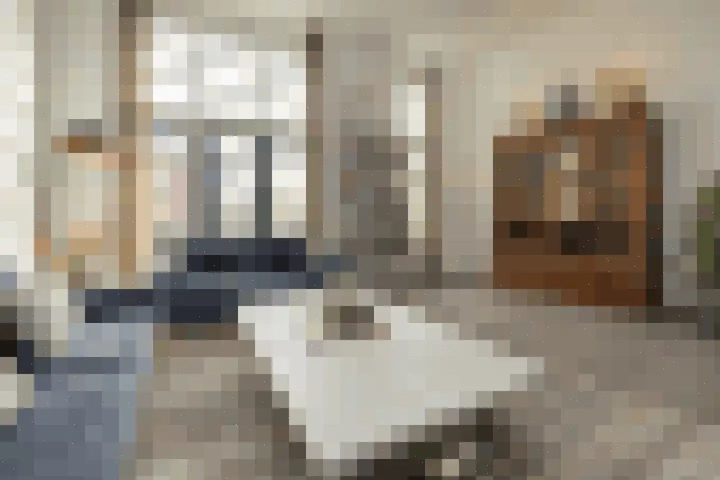 Kronenburg 38 Oegstgeest thumbnail 4