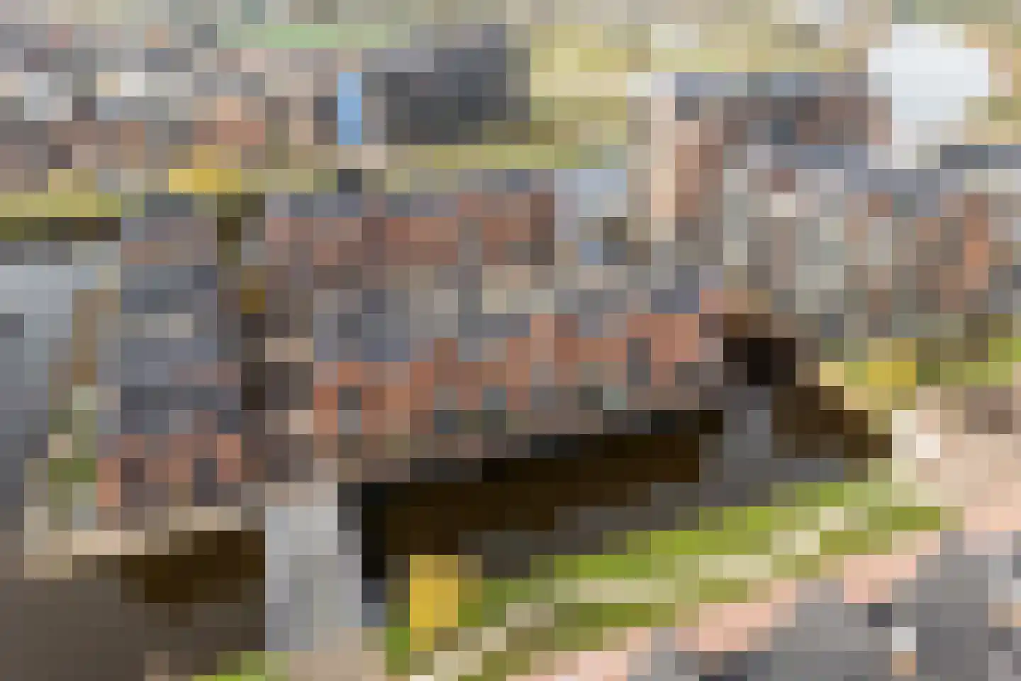 Kronenburg 38 Oegstgeest thumbnail 59