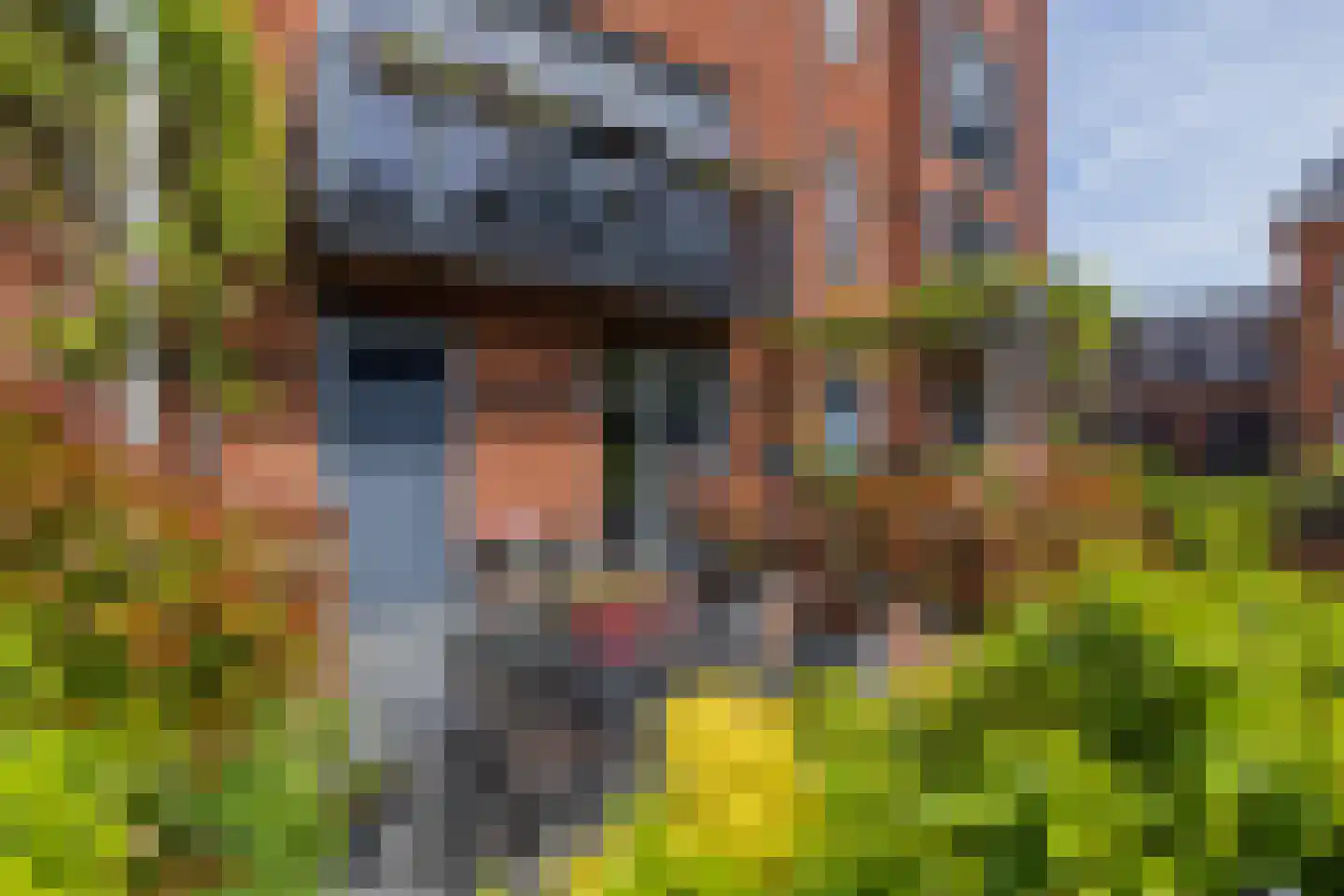 Kronenburg 38 Oegstgeest thumbnail 63