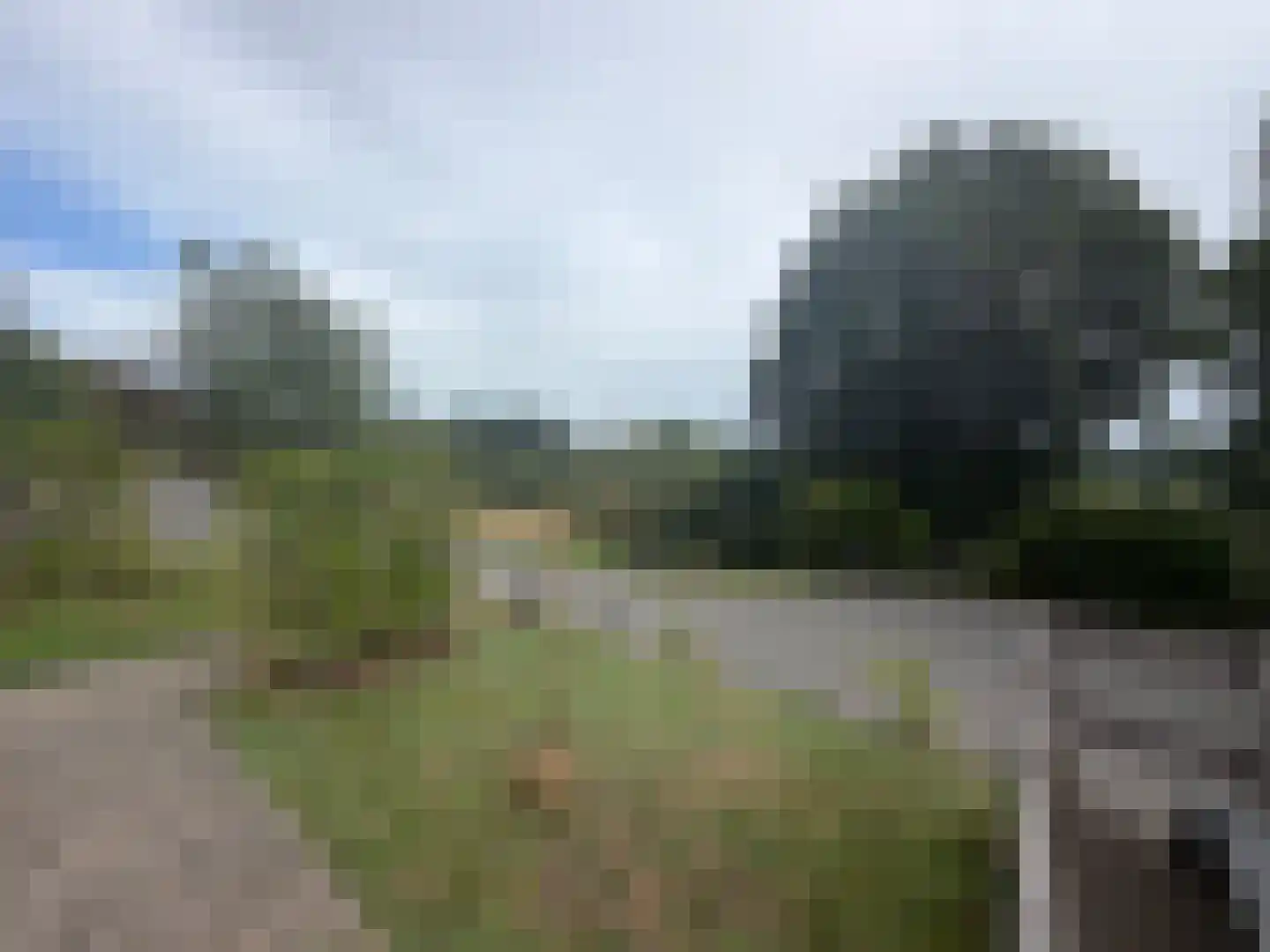 Kronenburg 53949 Dahlem/Kronenburg Rotterdam thumbnail 12