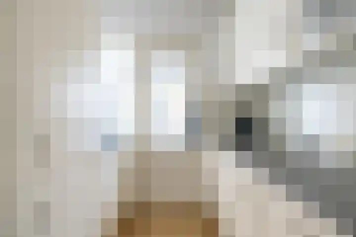 Kronenburg 6 Middenbeemster thumbnail 16