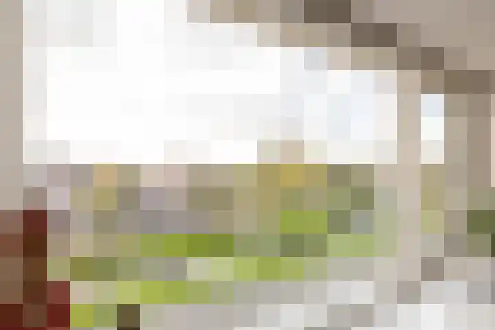 Kronenburg 6 Middenbeemster thumbnail 33