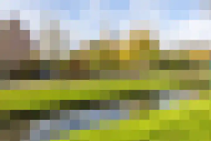 Kronenburg 6 Middenbeemster thumbnail 39