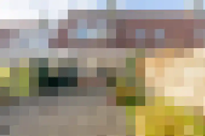 Kronenburg 6 Middenbeemster thumbnail 4