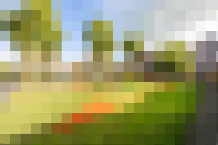 Kronenburg 6 Middenbeemster thumbnail 40