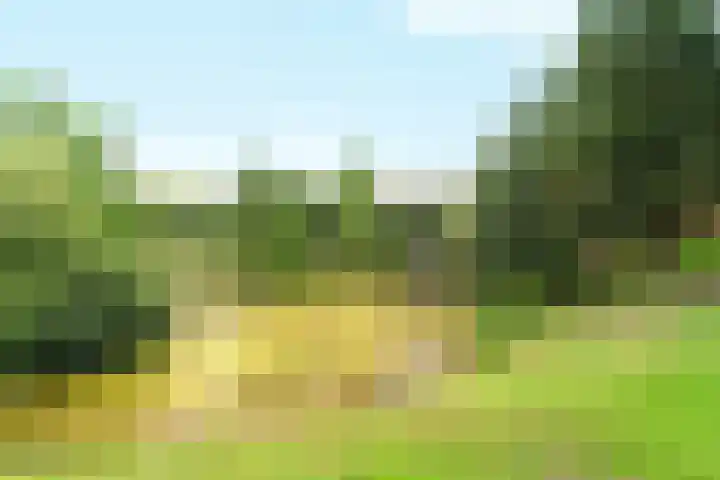 Kronenburgerplaats 27 Nijmegen thumbnail 12