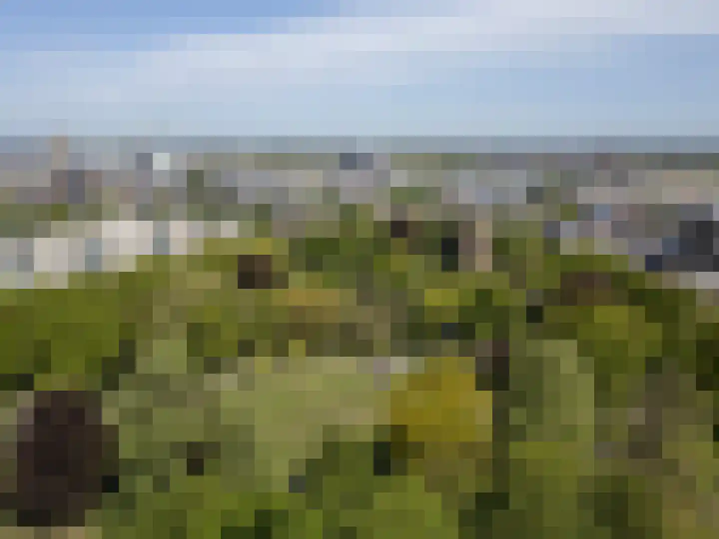 Kronenburgerplaats 31 Nijmegen thumbnail 26