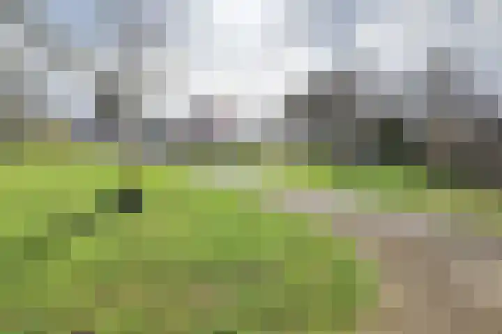 Kronenburgerplaats 34 Nijmegen thumbnail 38