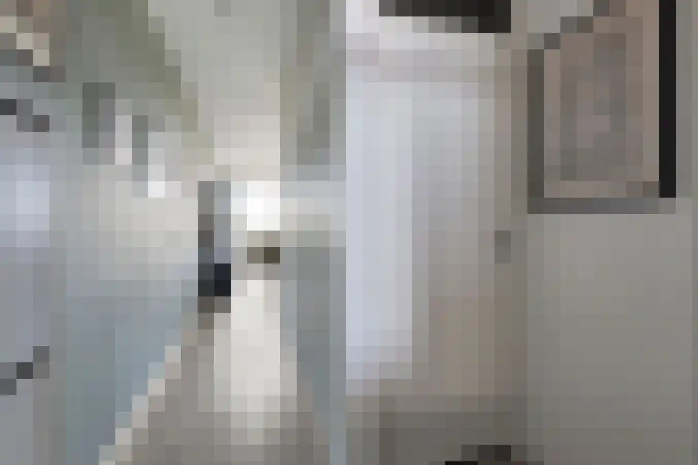 Kronenburgersingel 107 Nijmegen thumbnail 8
