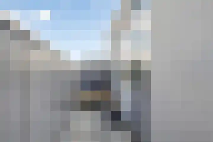 Kronenburgersingel 249 B Nijmegen thumbnail 13