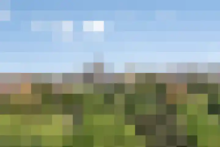 Kronenburgersingel 249 B Nijmegen thumbnail 23