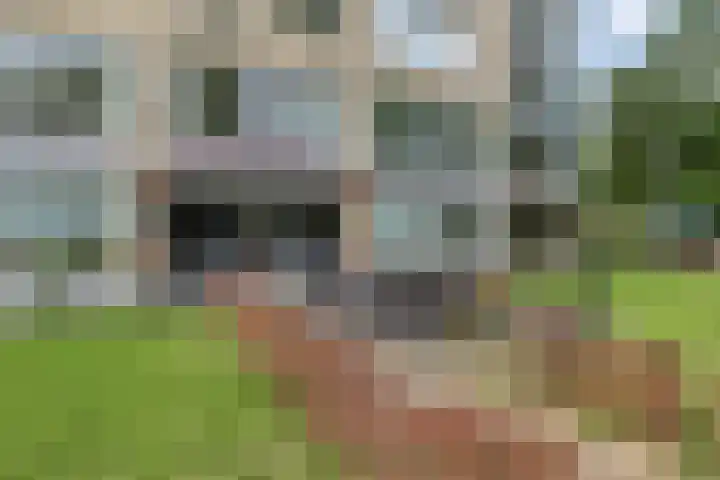 Kronenburgersingel 249 B Nijmegen thumbnail 30