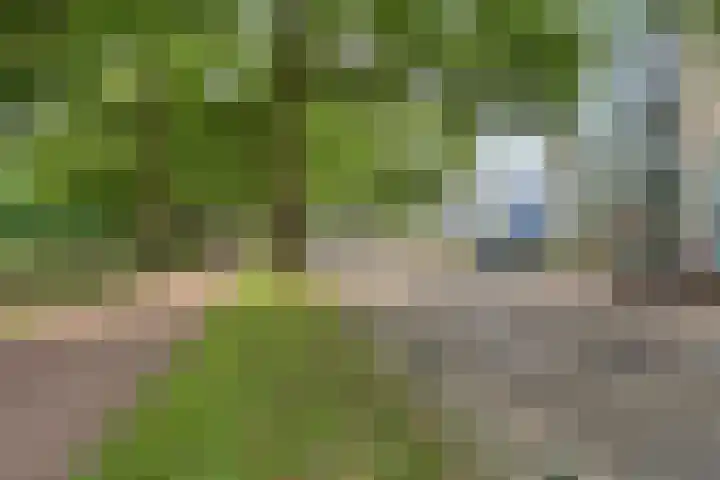 Kronenburgersingel 249 B Nijmegen thumbnail 33