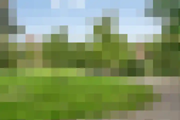 Kronenburgersingel 249 B Nijmegen thumbnail 34