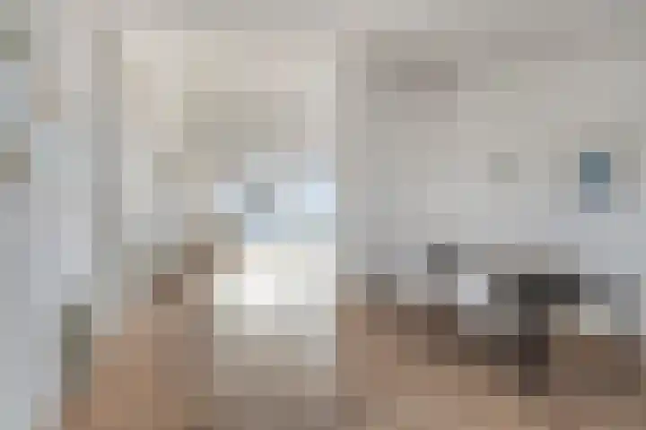 Kronenburgersingel 249 B Nijmegen thumbnail 7