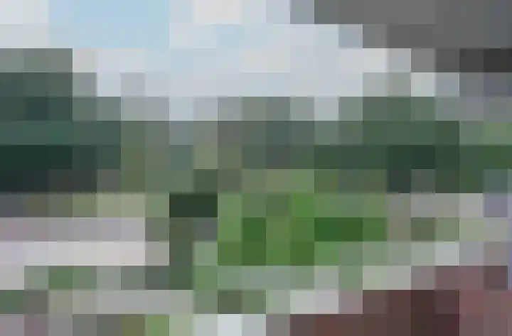 Kronenburgersingel 287 Nijmegen thumbnail 5