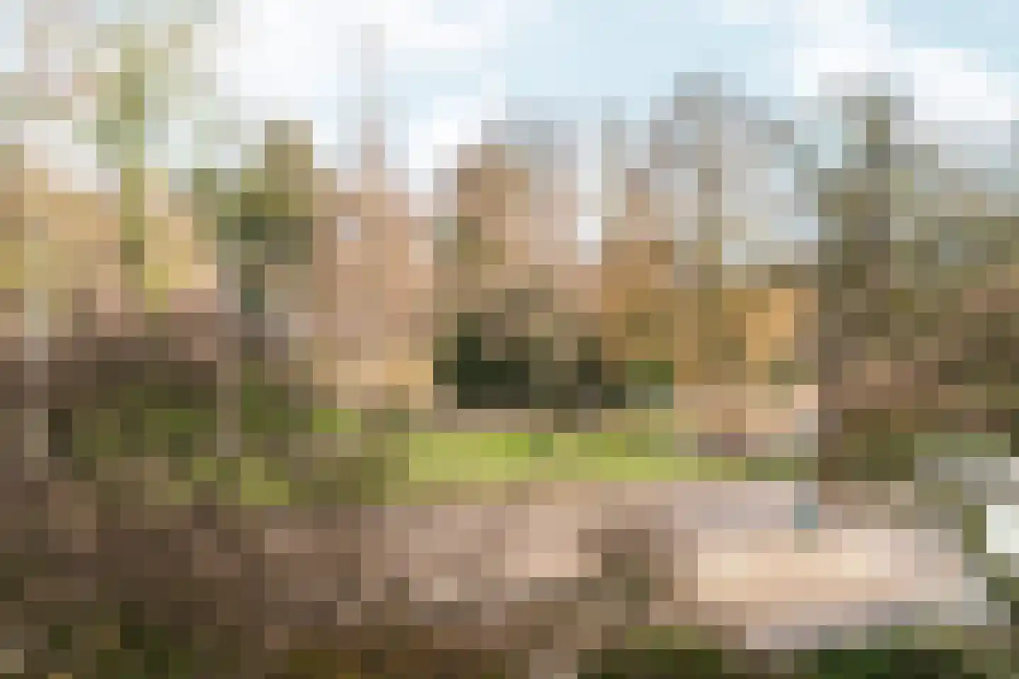 Kronenburgersingel 291 Nijmegen thumbnail 14