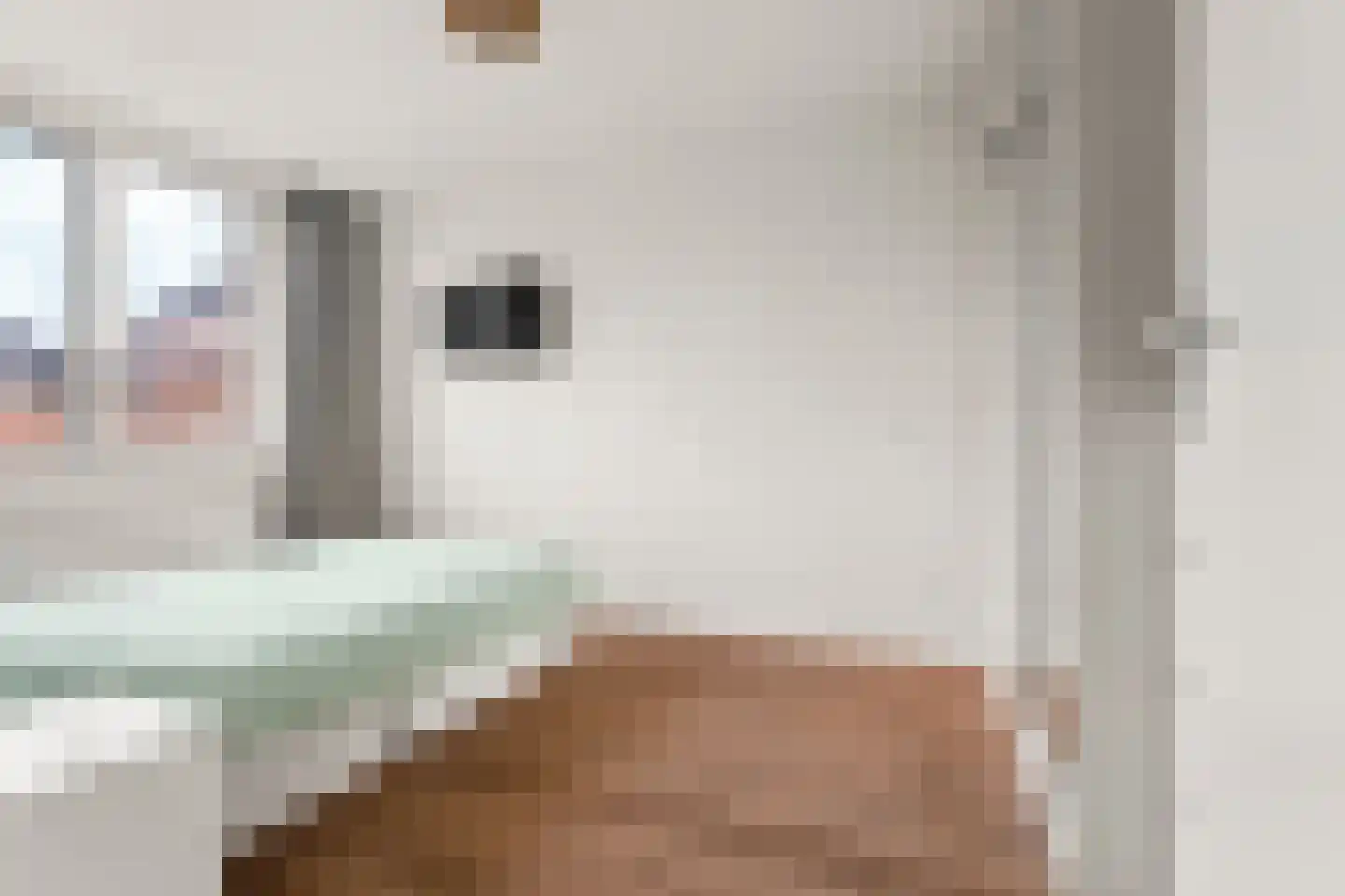 Kronenburgersingel 291 Nijmegen thumbnail 19