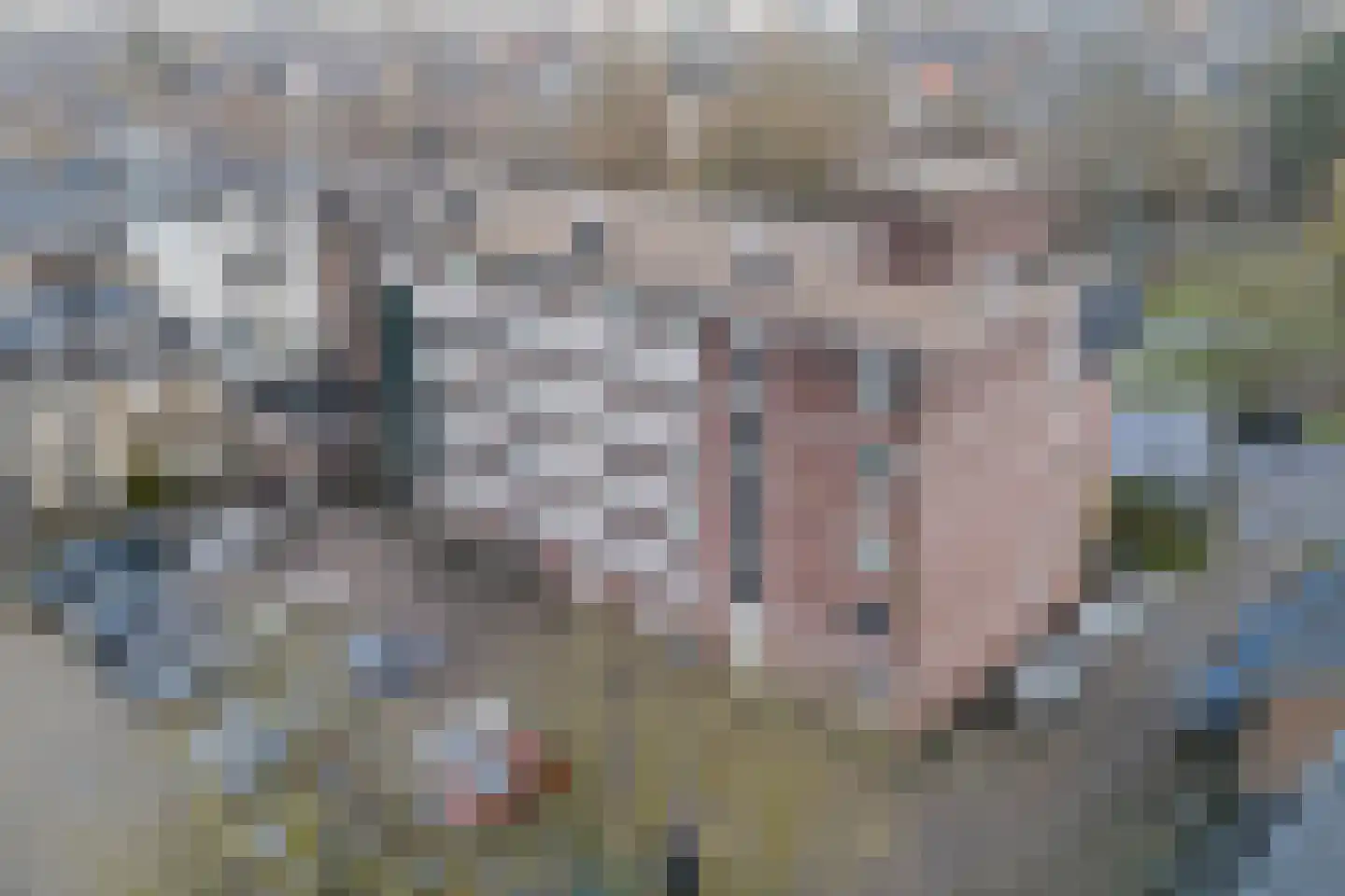 Kronenburgersingel 291 Nijmegen thumbnail 34