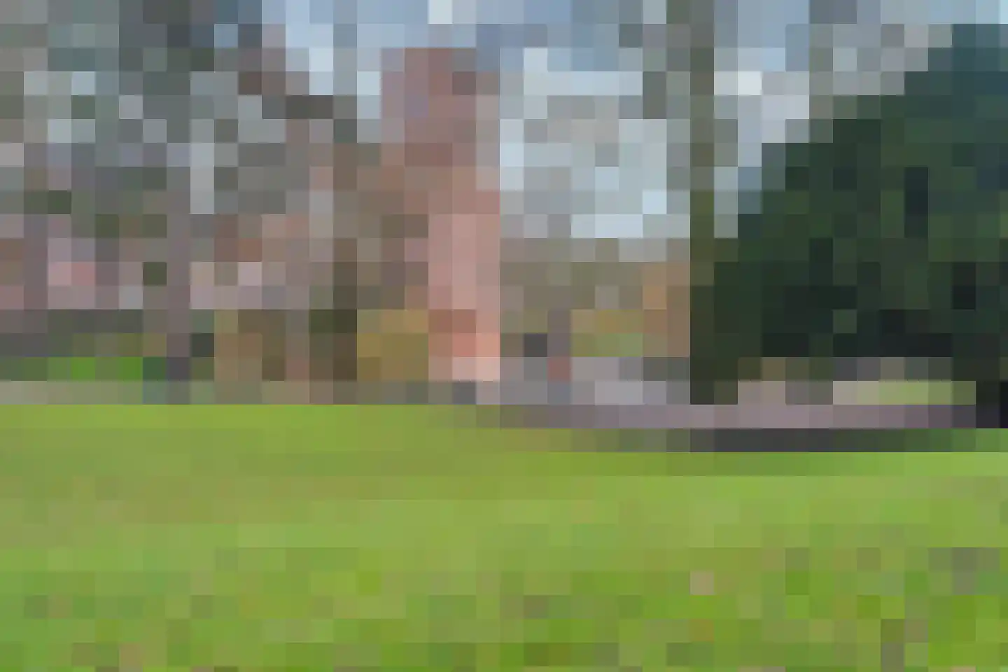 Kronenburgersingel 291 Nijmegen thumbnail 37
