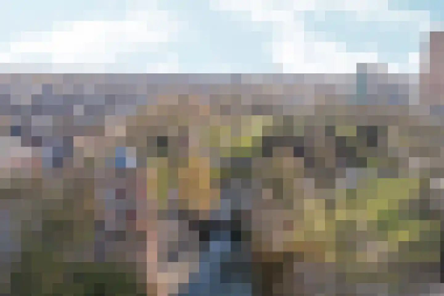 Kronenburgersingel 291 Nijmegen thumbnail 39