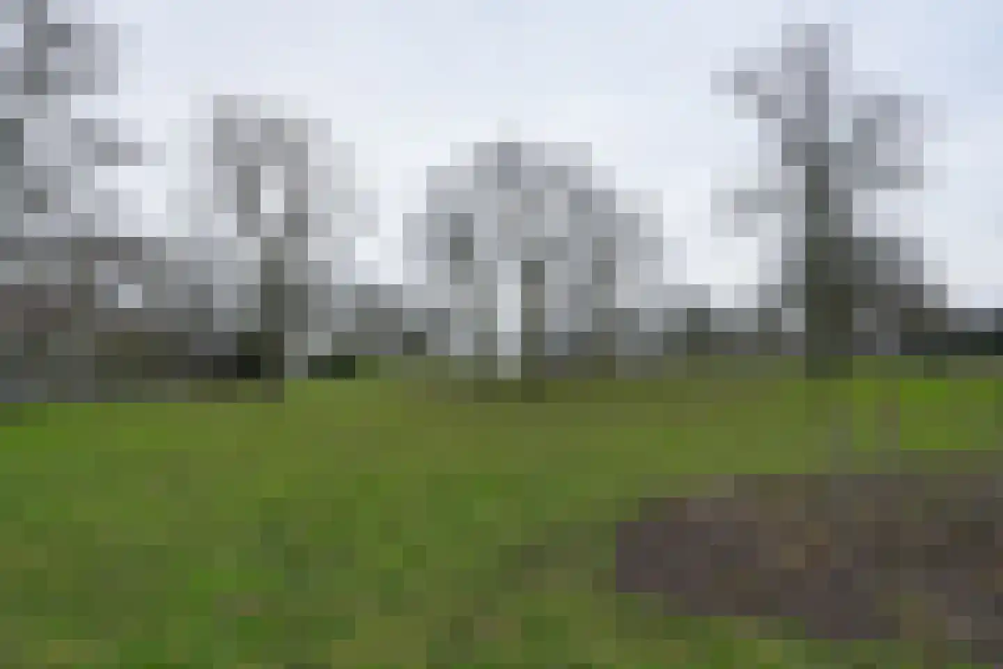 Kronenburgersingel 45 Nijmegen thumbnail 37