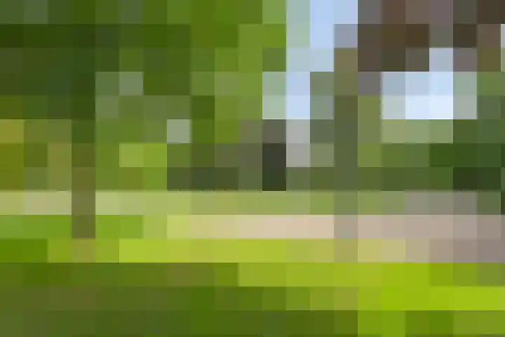 Kronenburgersingel 47 Nijmegen thumbnail 19