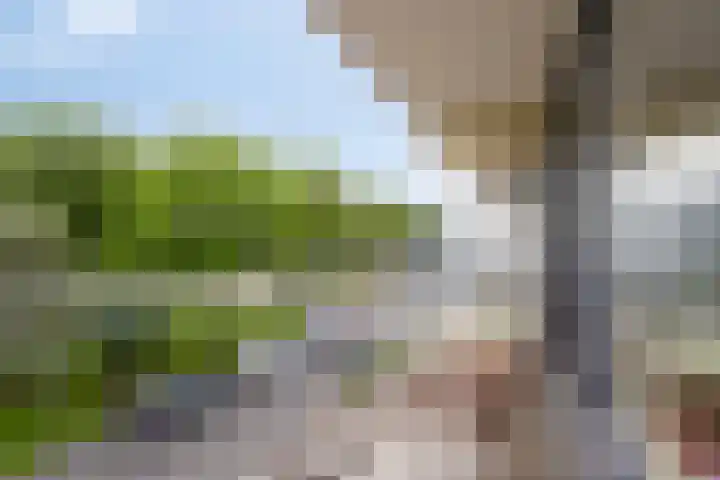 Kronenburgersingel 47 Nijmegen thumbnail 7