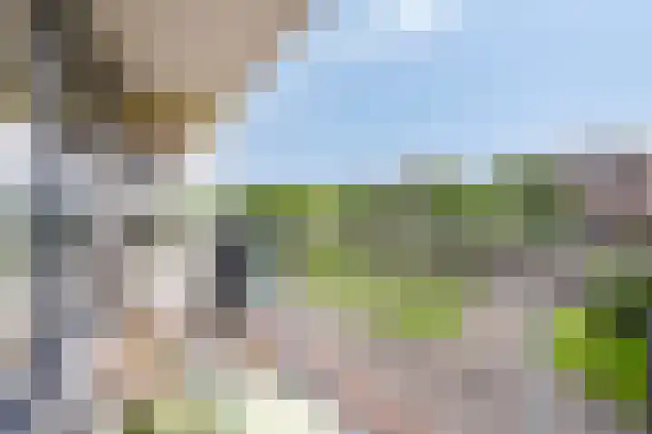 Kronenburgersingel 47 Nijmegen thumbnail 8